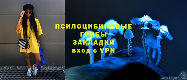 марки lsd Козельск
