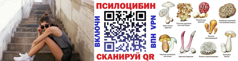 Псилоцибиновые грибы Cubensis  Купить где  Приволжск 